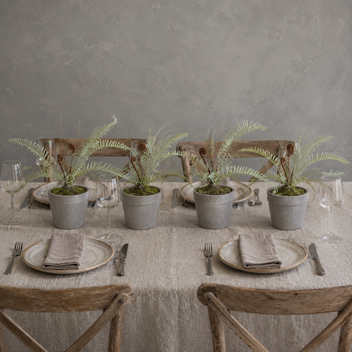 *POTTED FERN 45cm